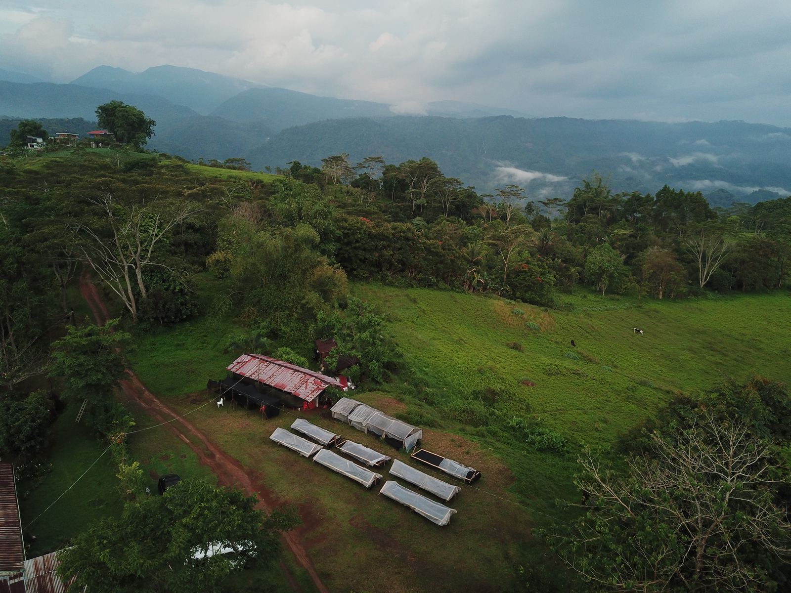 Raised drying beds seen from above